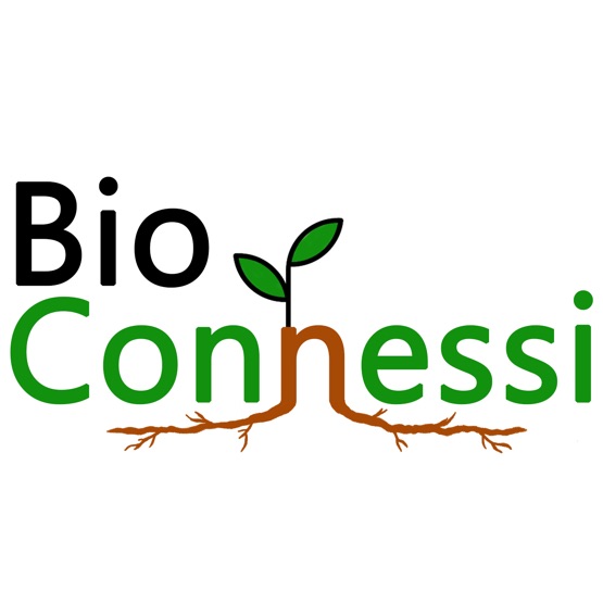 BioConnessi